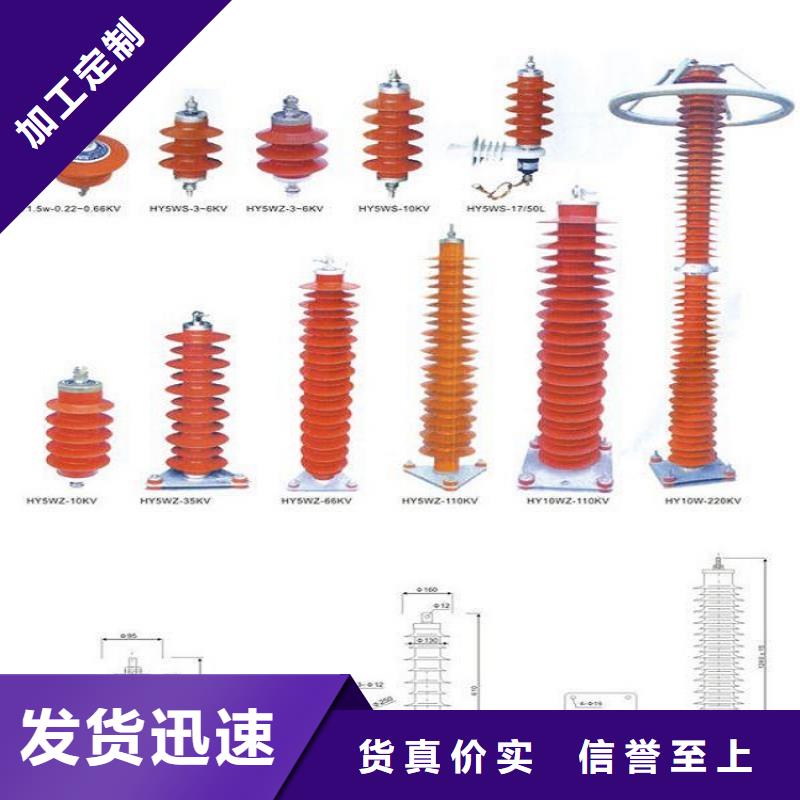 避雷器Y10W-100/260浙江羿振电气有限公司