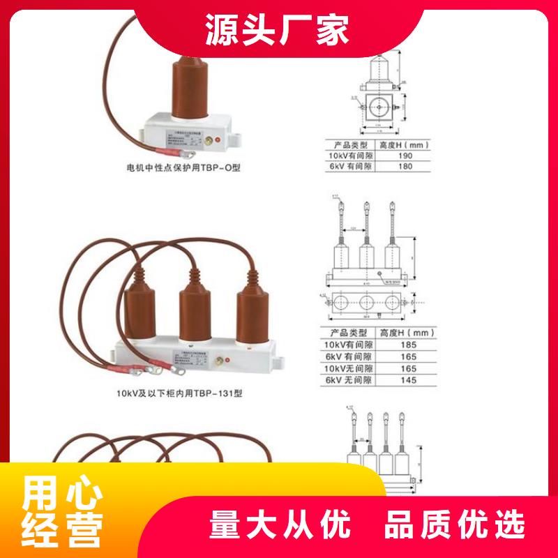 【组合式避雷器】TBP-B-12.7F/100W1
