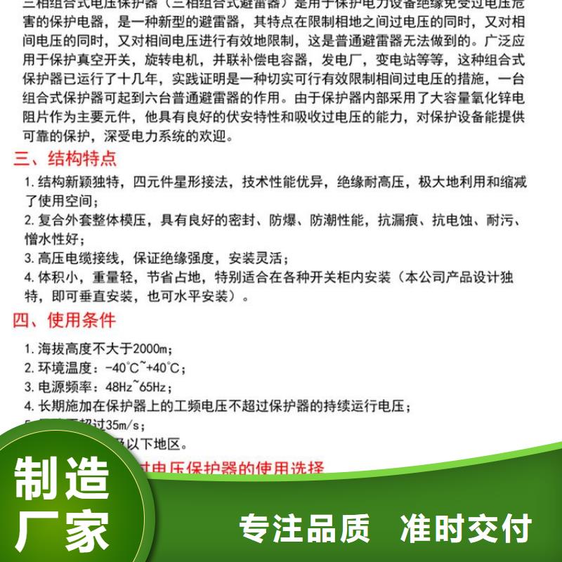 保护器(组合式避雷器)TBP-A-10.5/131-J