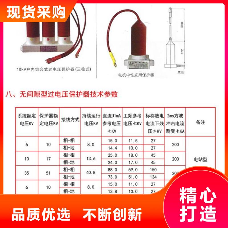 【组合式避雷器】TBP-B-12.7F/100W1