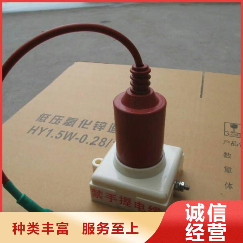 【羿振电力牌】过电压保护器TBP-B-7.6F/85-J