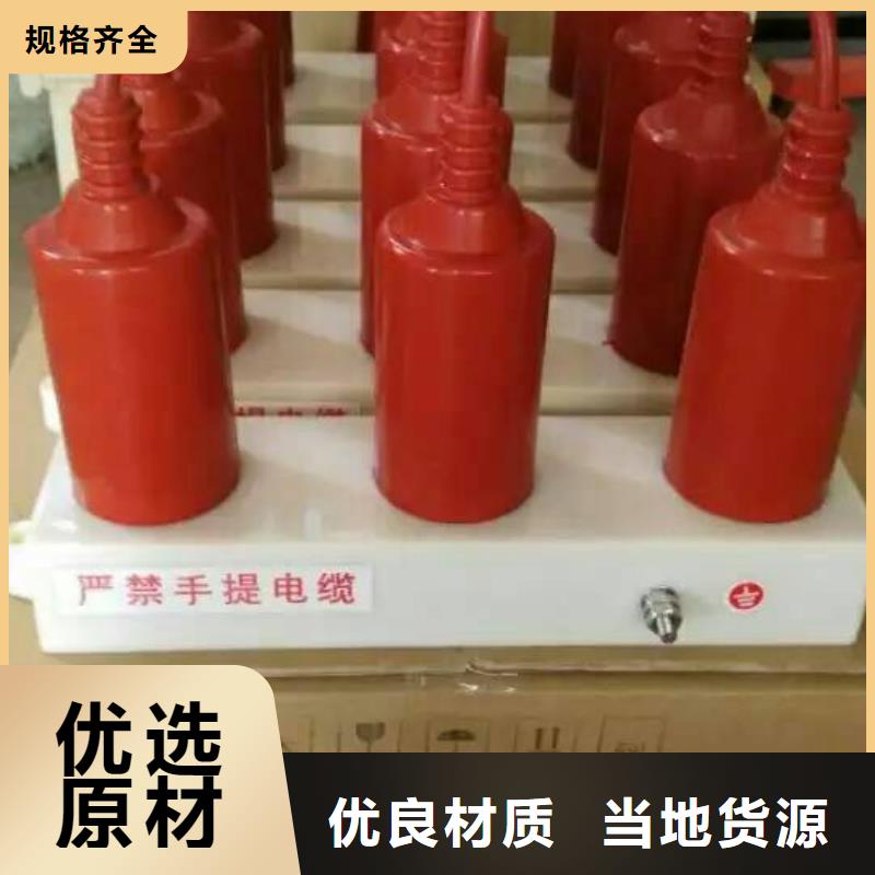 【组合式避雷器】TBP-A-12.7/85-J