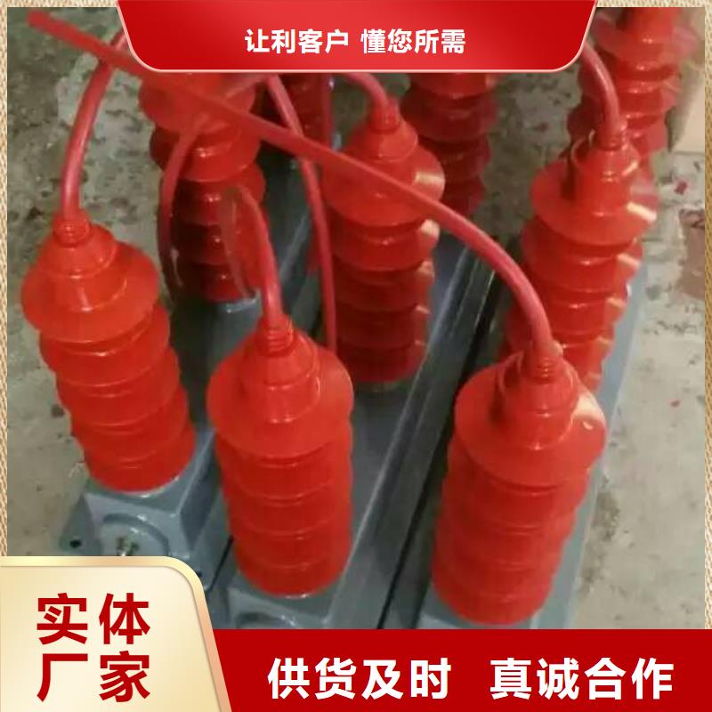【组合式过电压保护器】TBP-A-6.3/85-J
