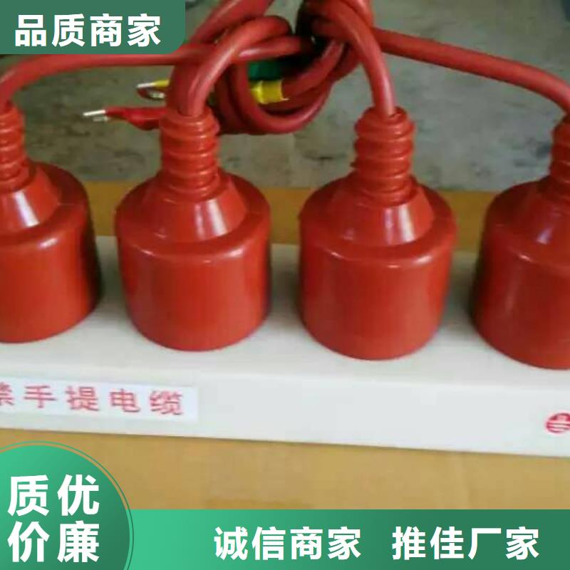 【组合式避雷器】TBP-C-10.5/85-J