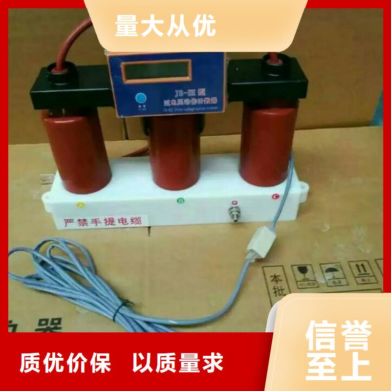 保护器(组合式避雷器)TBP-A-10.5/131-J
