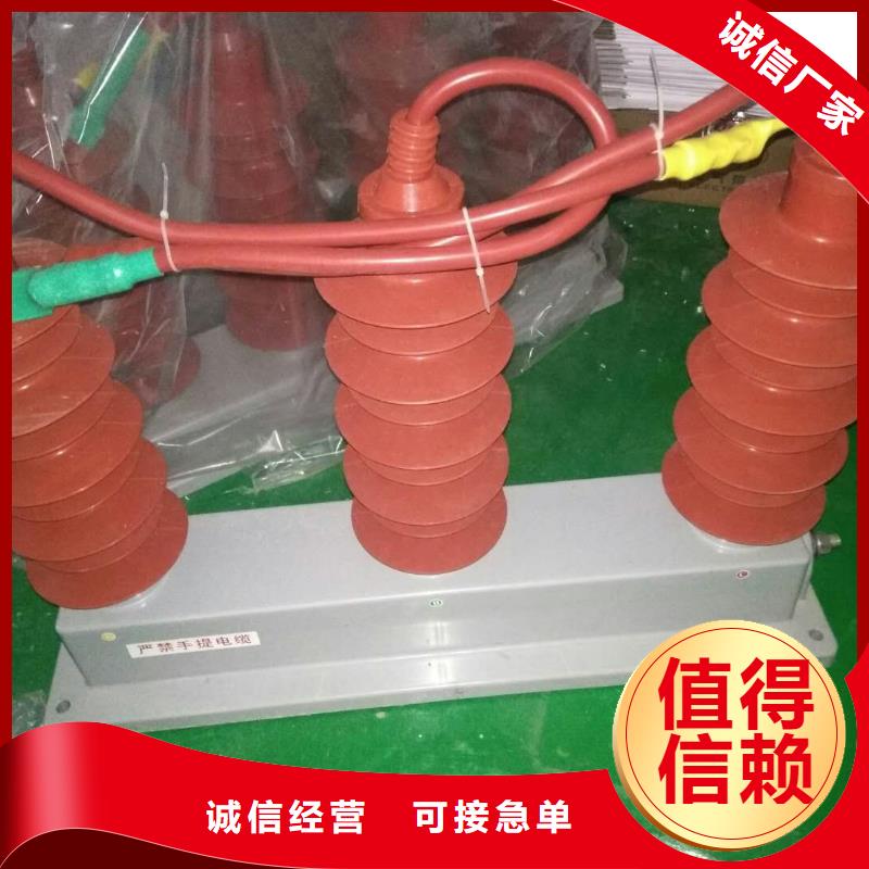 保护器(组合式避雷器)HRB-A-6