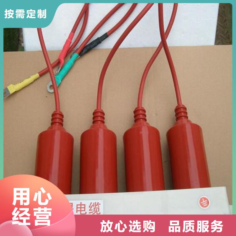 保护器(组合式避雷器)TBP-A-10.5/131-J