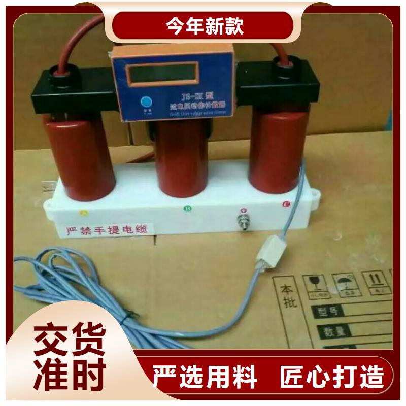 保护器(组合式避雷器)TBP-A-10.5/131-J