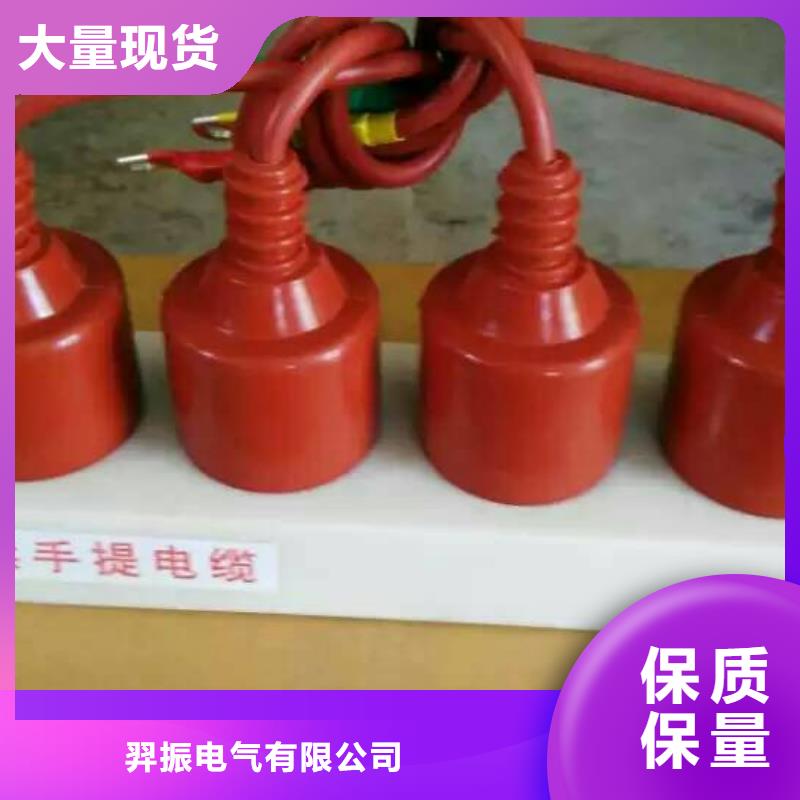 保护器(组合式避雷器)HRB-A-6
