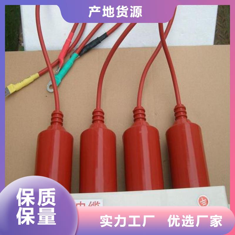 过电压保护器TBP-C-12.7/85-J