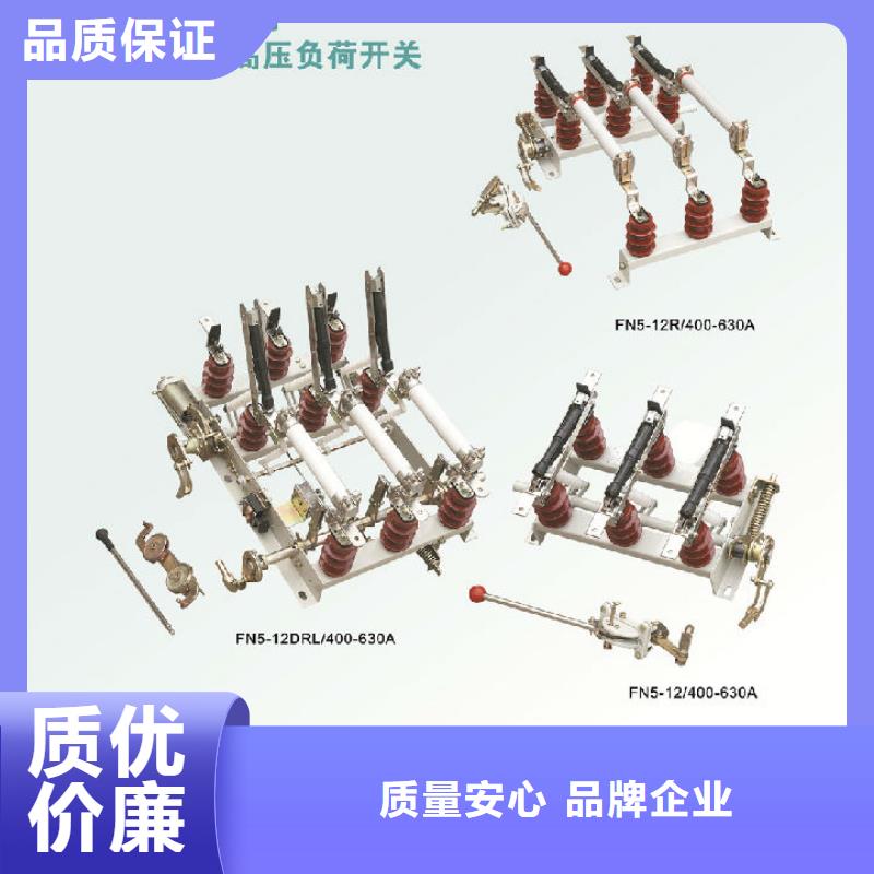 【羿振电力设备】高压负荷开关FZN25-12D/T125-31.5
