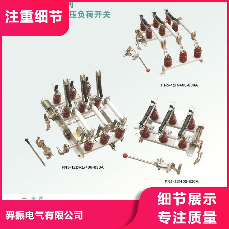 _羿振电气户内高压负荷开关FZN12-10RD/125-31.5