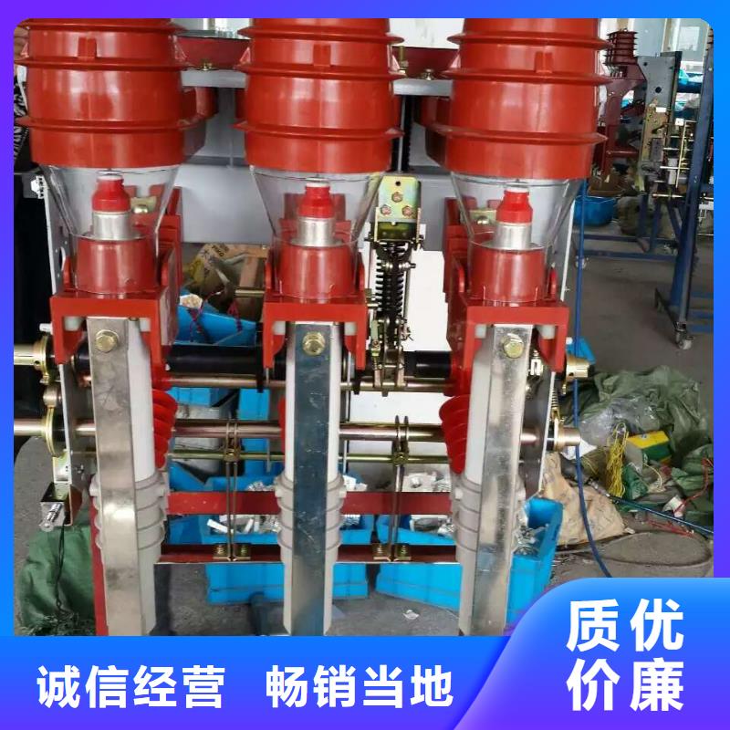 【羿振电力设备】高压负荷开关FZN25-12D/T125-31.5