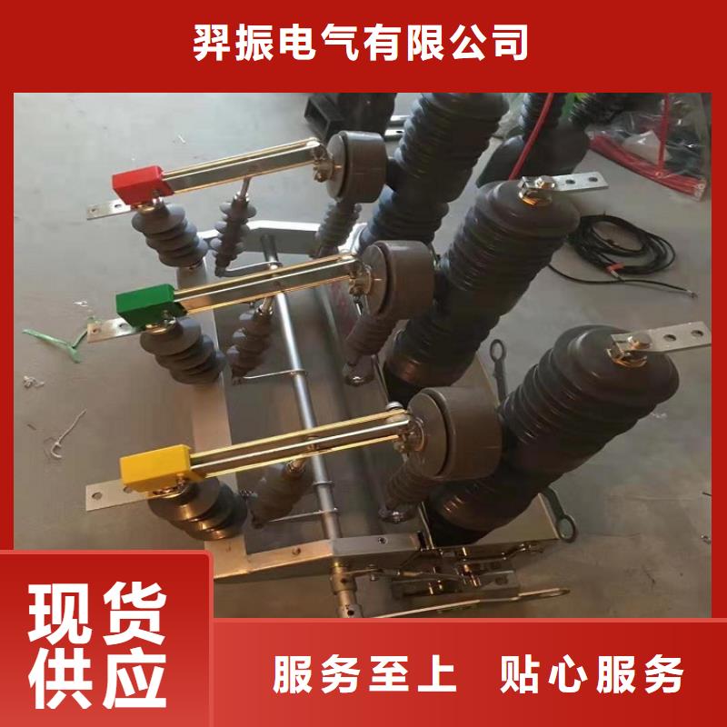 品牌【羿振电气】高压断路器ZW32-12F