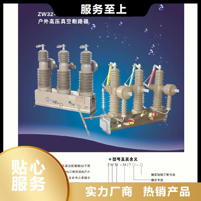 【斷路器】ZW32-12G/T630-25