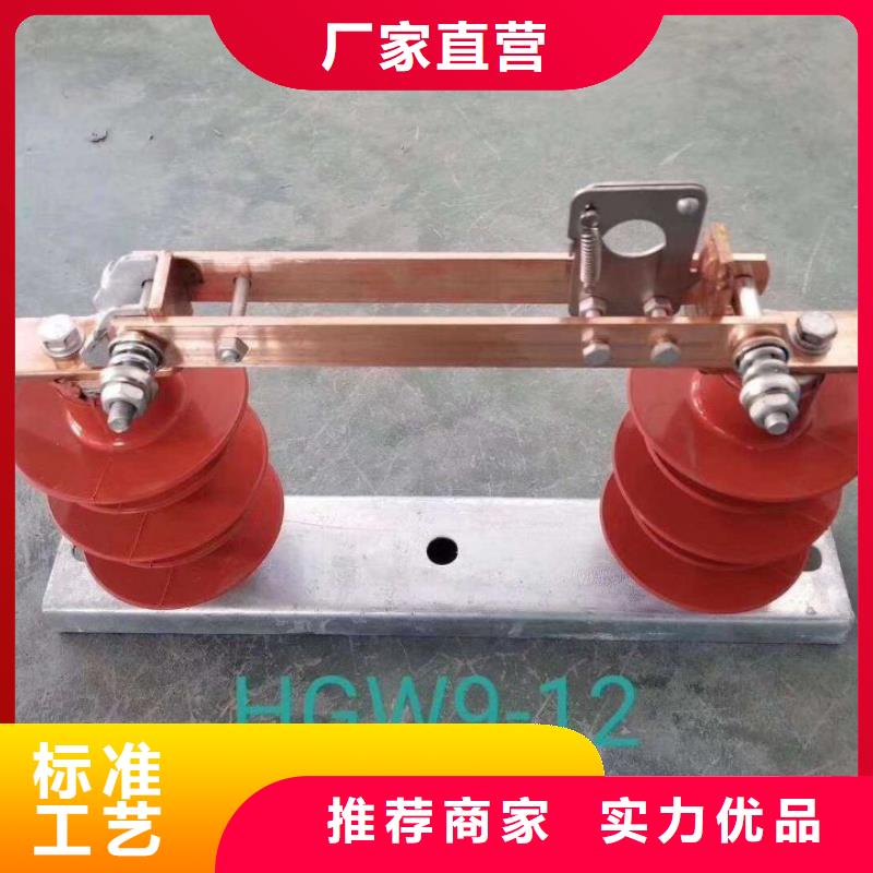 【羿振电气】户外高压交流隔离开关：GW9-12/1000A型号齐全