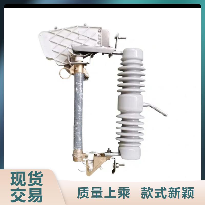熔斷器 金屬氧化物避雷器實力工廠
