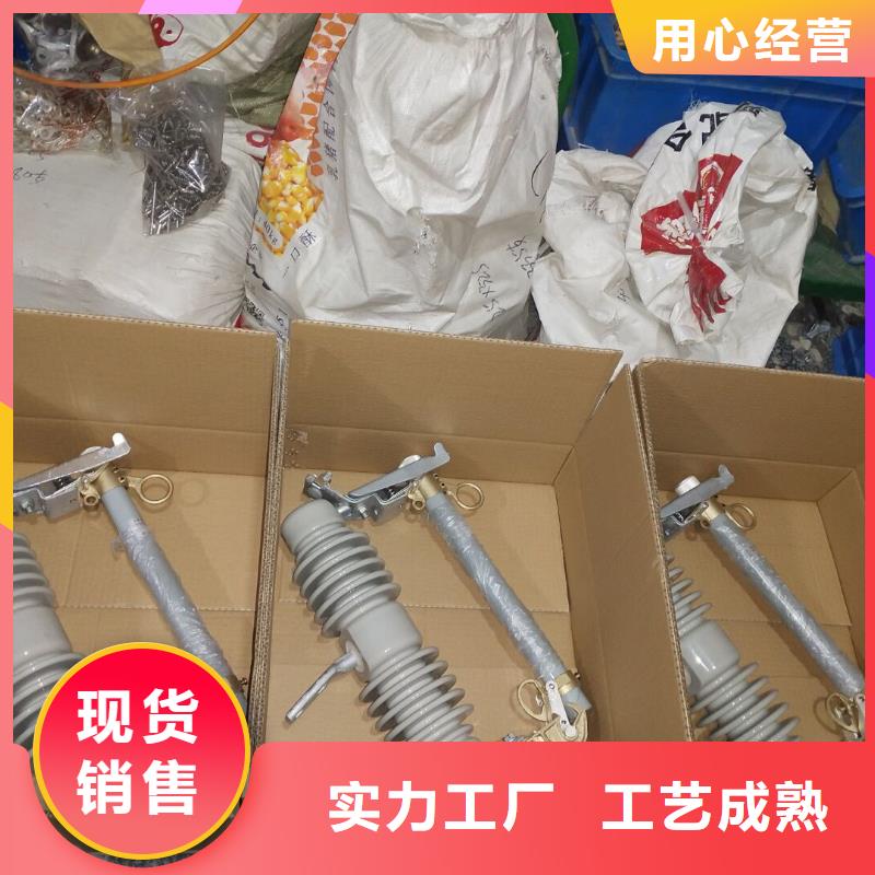 熔斷器【避雷器】專注質(zhì)量