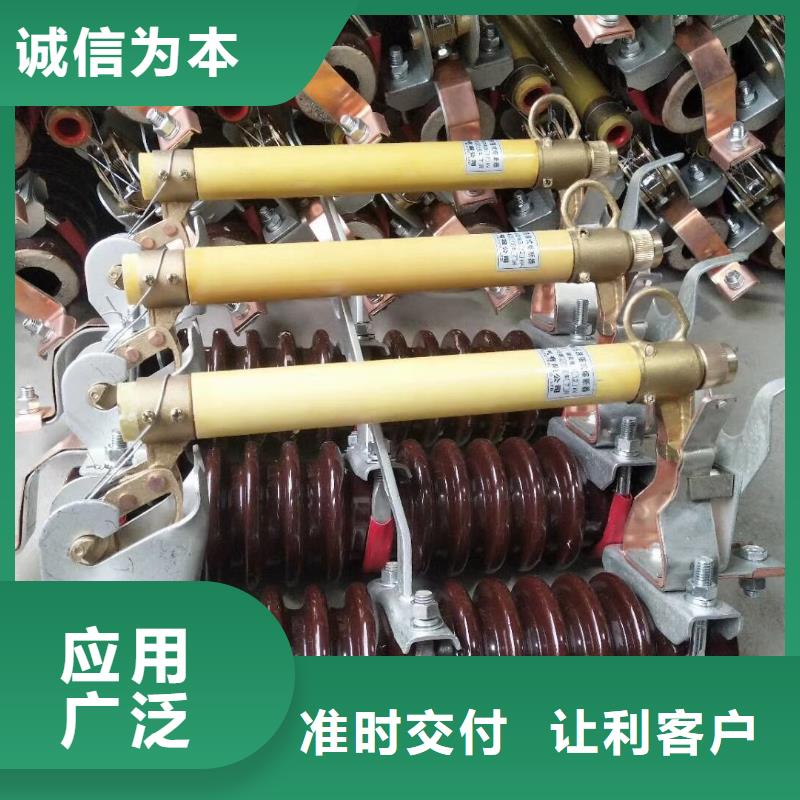 熔断器金属氧化物避雷器严选好货