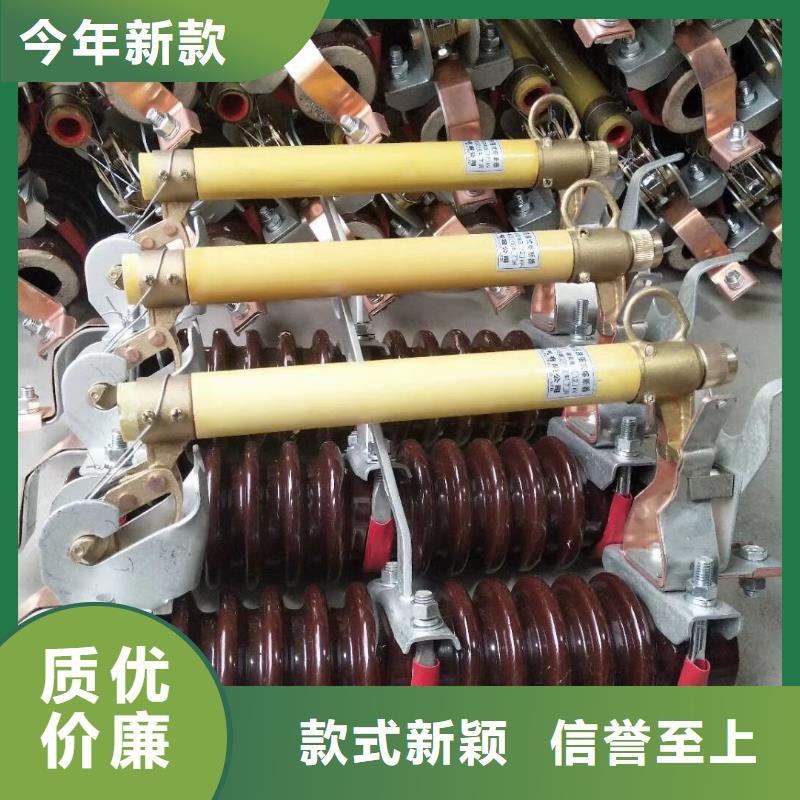 【跌落式熔斷器】高壓熔斷器/RTF5-15/100