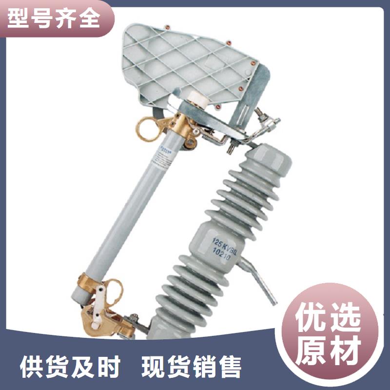 熔斷器金屬氧化物避雷器嚴(yán)選好貨