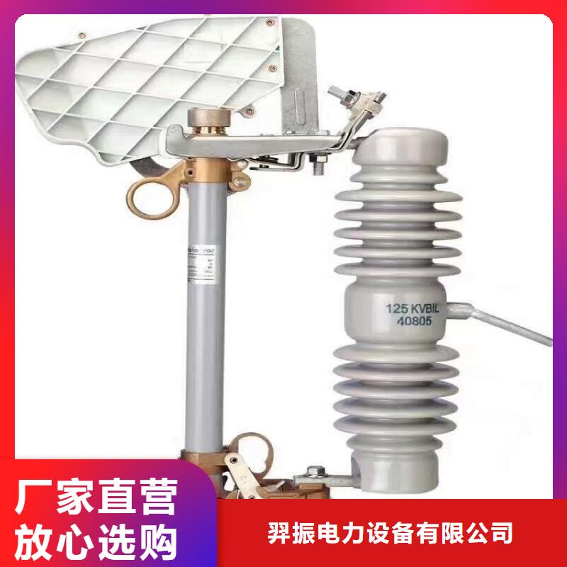 熔斷器35KV真空斷路器品質(zhì)保障價格合理