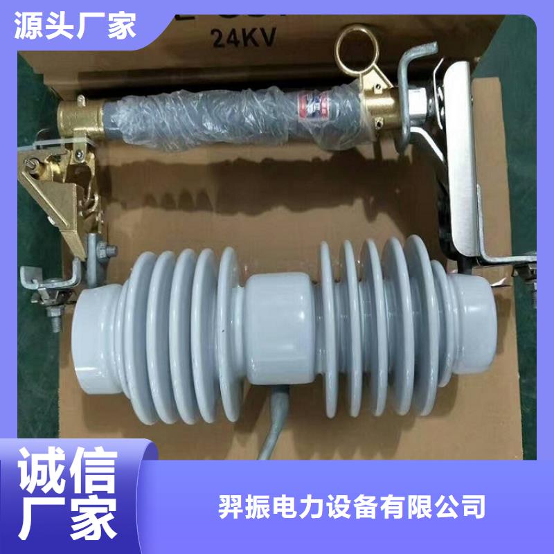 熔斷器35KV真空斷路器源廠定制