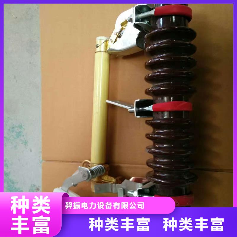 熔斷器跌落式熔斷器廠家大品牌值得信賴