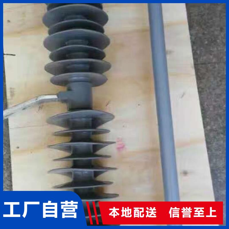 熔斷器 金屬氧化物避雷器實力工廠