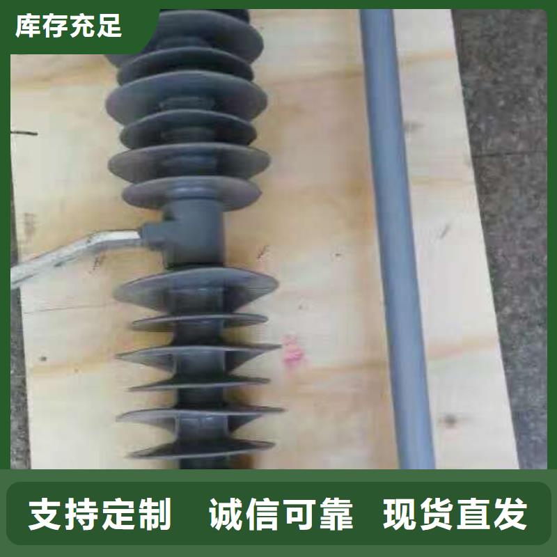 熔斷器跌落式熔斷器廠家大品牌值得信賴