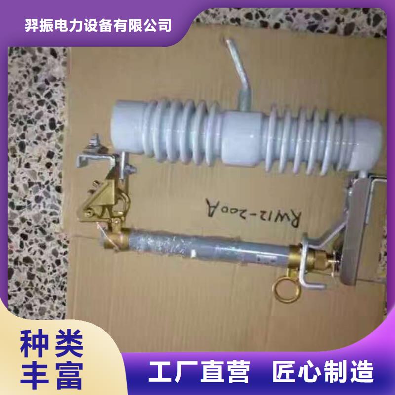 熔断器金属氧化物避雷器来图加工定制
