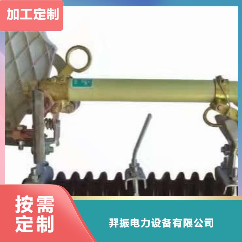 熔斷器-避雷器敢與同行比服務