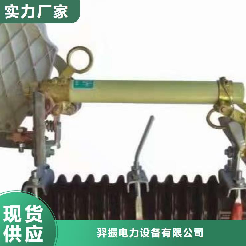 熔斷器 避雷器本地廠家值得信賴