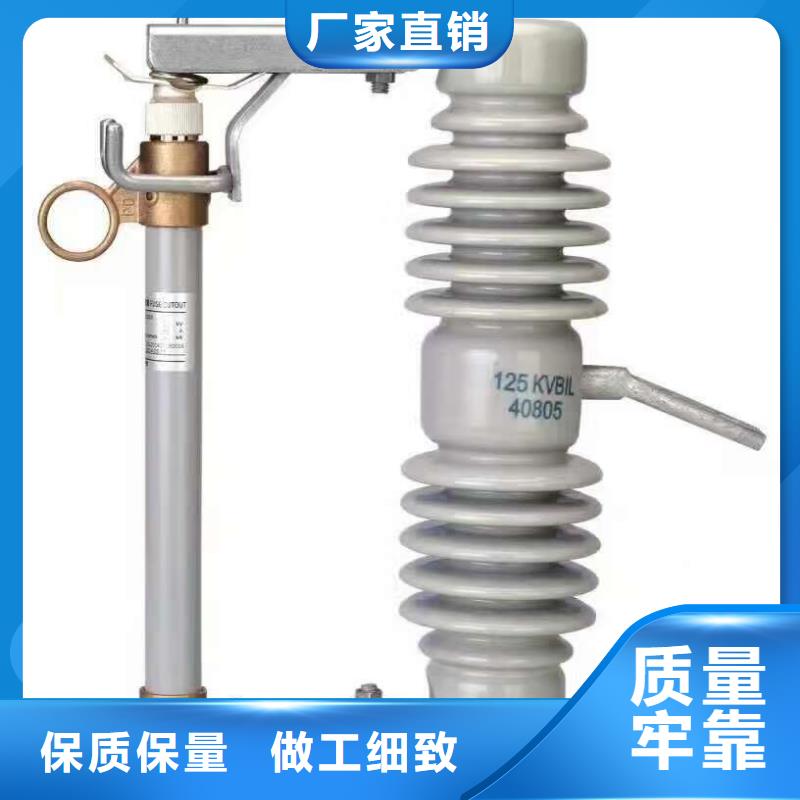 熔断器三相组合式避雷器有实力有经验