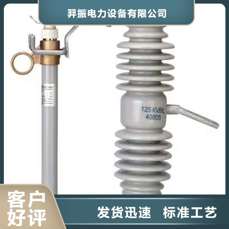 熔断器三相组合式避雷器源头厂家经验丰富