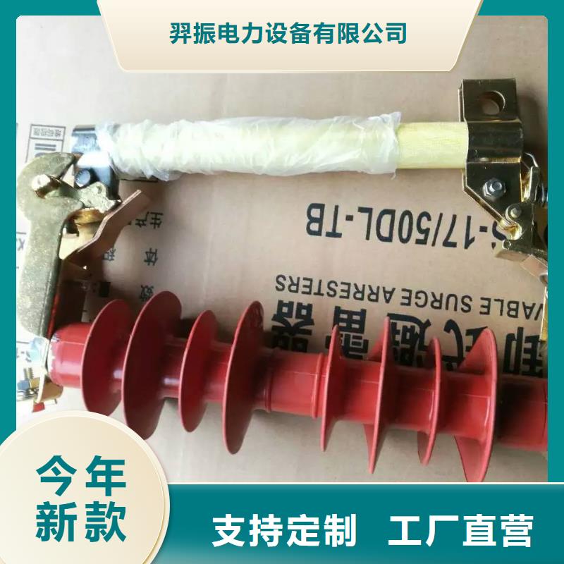 熔断器三相组合式避雷器有实力有经验