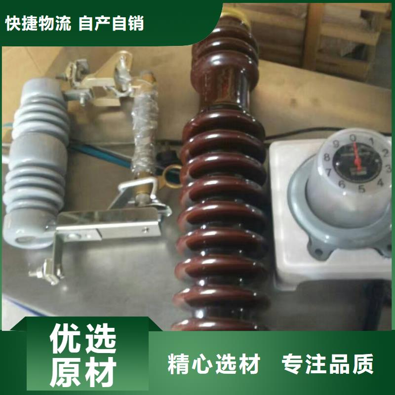 熔斷器-高壓支柱絕緣子多年實力廠家
