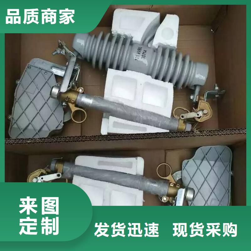跌落式熔斷器/高壓熔斷器RW12-15F/200A