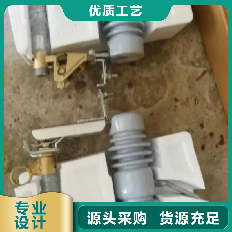 熔断器金属氧化物避雷器出厂价