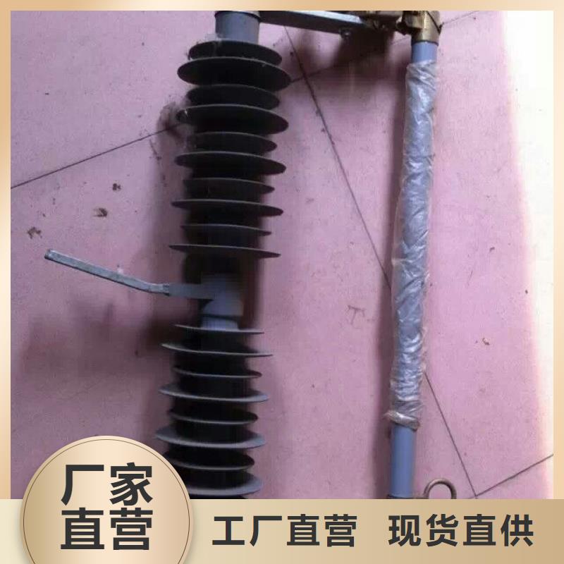 熔斷器金屬氧化物避雷器敢與同行比服務(wù)