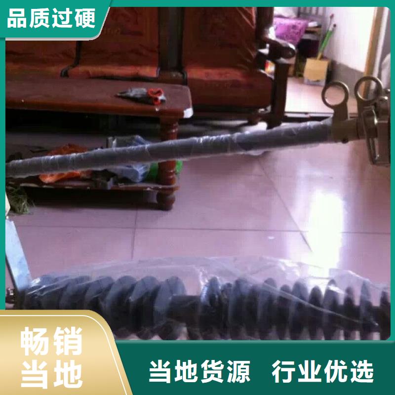 熔斷器跌落式熔斷器廠家大品牌值得信賴