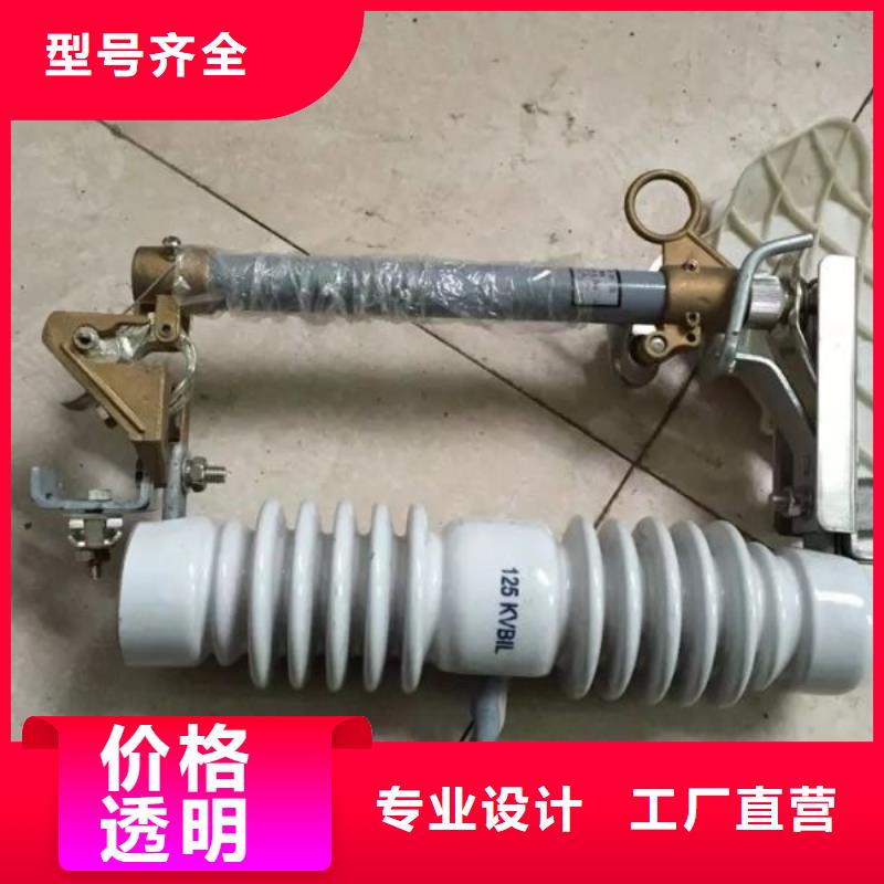 熔斷器跌落式熔斷器廠家大品牌值得信賴