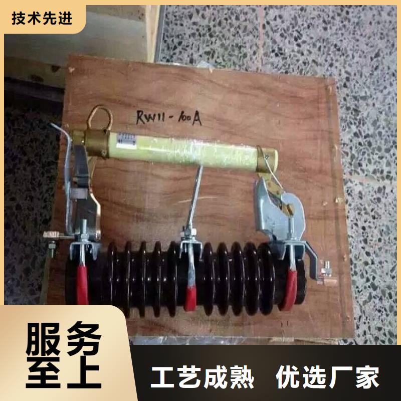 熔斷器金屬氧化物避雷器品質(zhì)不將就
