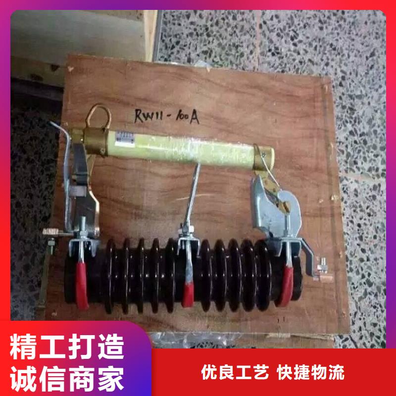 熔斷器【戶(hù)外絕緣件】實(shí)拍展現(xiàn)