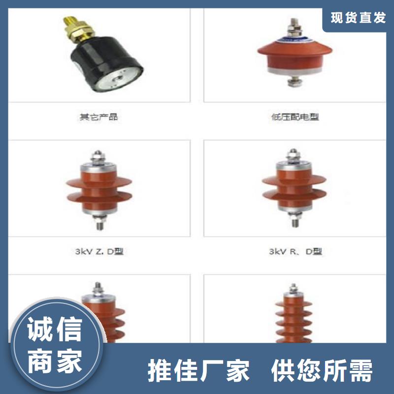 避雷器YH10W5-102/266GY
