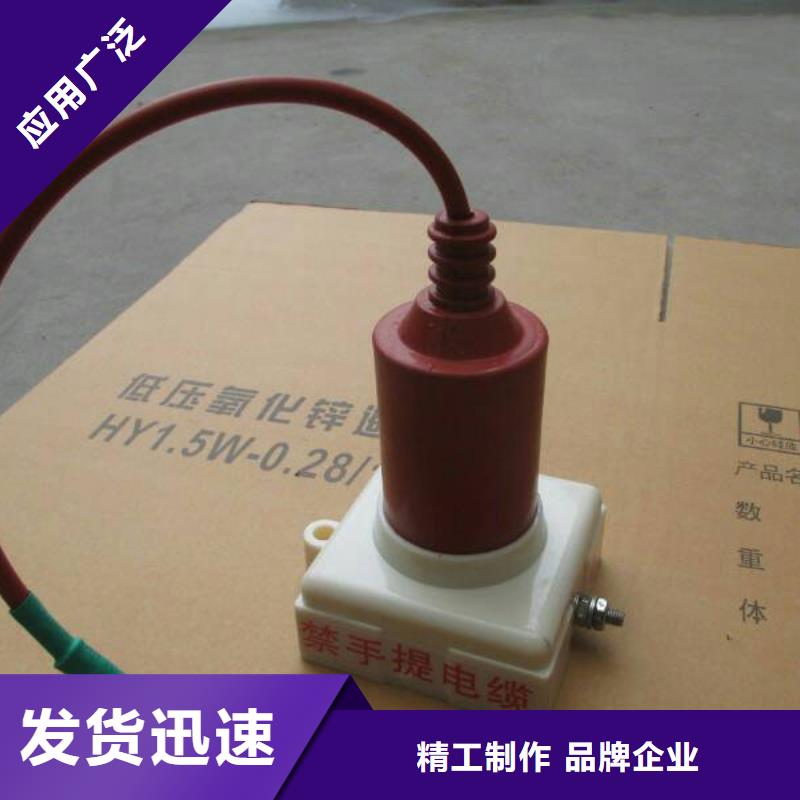 【羿振電力設(shè)備】過電壓保護器TGB-D-15.75/N
