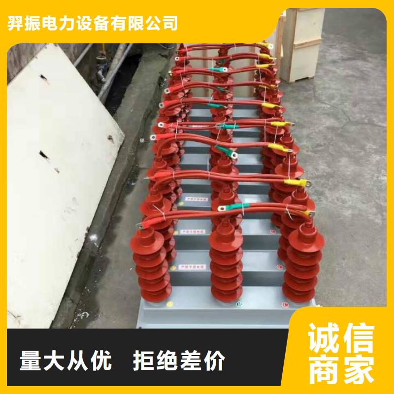 【羿振電氣】過(guò)電壓保護(hù)器高壓組合式避雷器