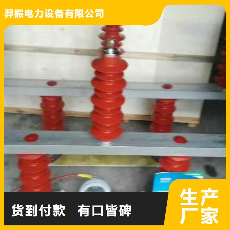 【羿振牌】〖過電壓保護(hù)器〗TBP-B-12.7F/45廠家供應(yīng)