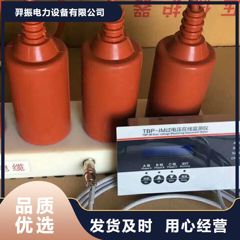 【羿振電力設(shè)備】過電壓保護器TGB-D-15.75/N