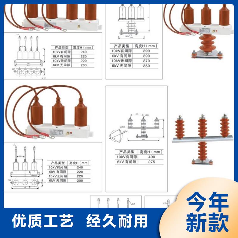 【羿振電力設(shè)備】過電壓保護器(組合式避雷器)BSTG-B-6-J